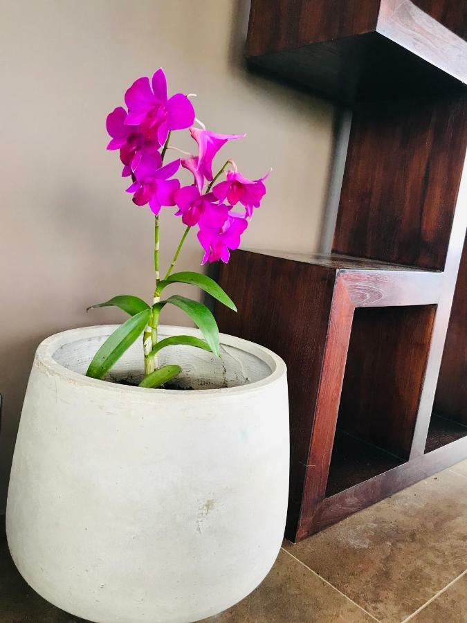 Te Fiti Island Break Hotell Mahina Eksteriør bilde